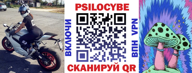 Псилоцибиновые грибы Psilocybine cubensis Сельцо